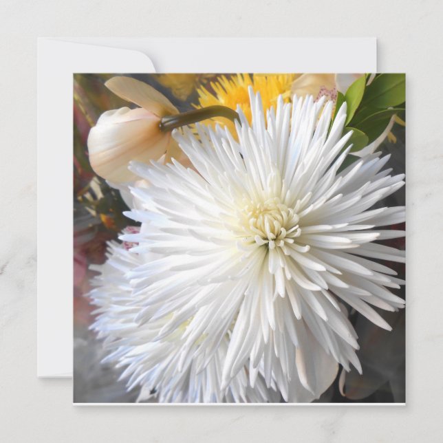 Carte Claricia (Devant)