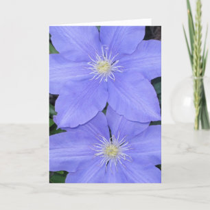 Carte Clematis