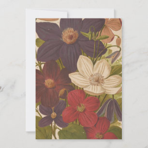 Carte Clematis   George Nicholson