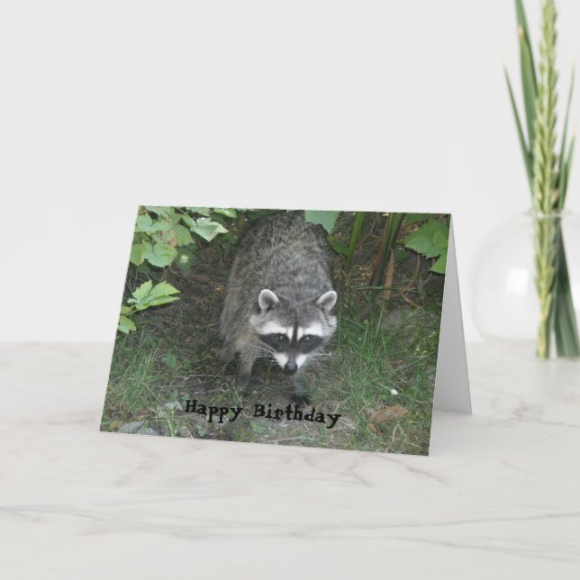 Carte Clever Raccoon voeux d'anniversaire (Devant)