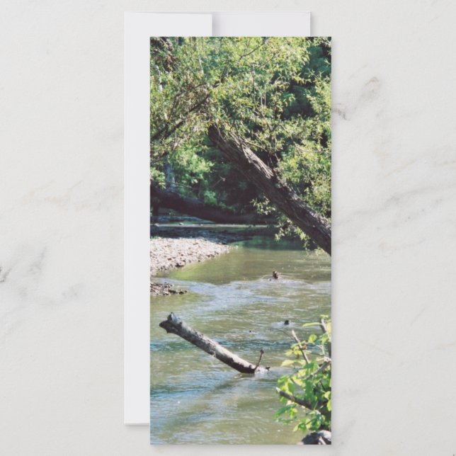 Carte Clinch River Pittoresque (Devant)