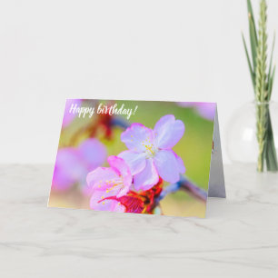 Carte Closeudo Vue Sur Les Fleurs De Cerisiers De Sakura