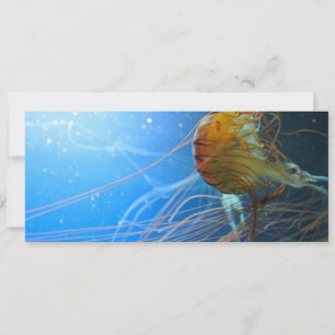 Carte Closeuse de méduse de natation