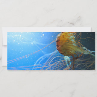 Carte Closeuse de méduse de natation