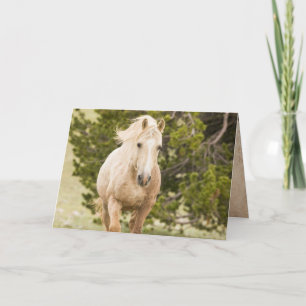 Carte Cloud Up the Hill Wild Horse Greeting Card