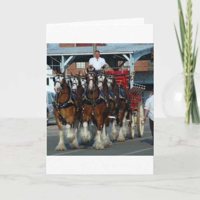 Carte Clydesdale 6 cheval hitch (Devant)