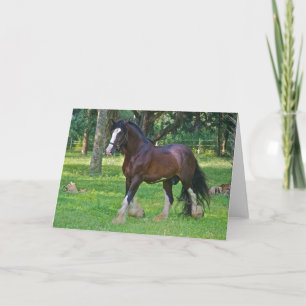 Carte Clydesdale Horse