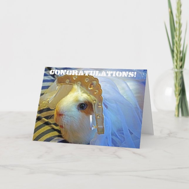 Carte cobaye avec un voile (Devant)