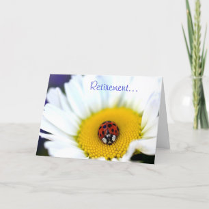 Carte Coccinelle sur la marguerite blanche