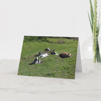Carte Cochon avec des amis chevreaux