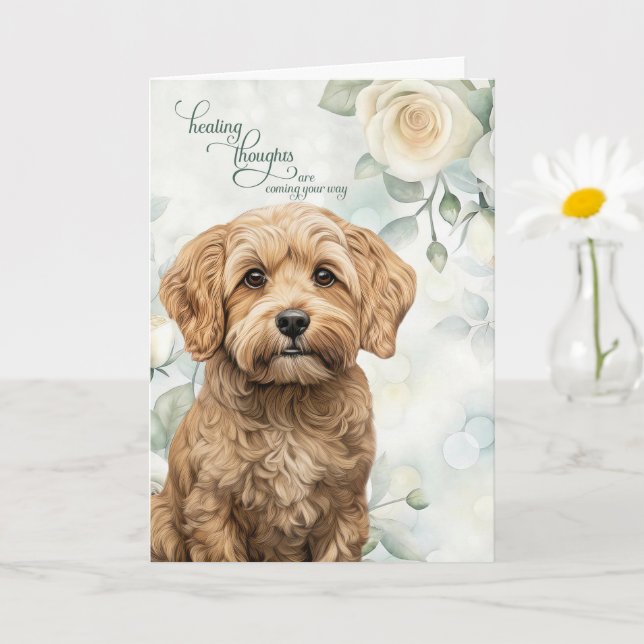 Carte Cockapoo Dog White Roses and Sage Green Get Well (Petite plante)