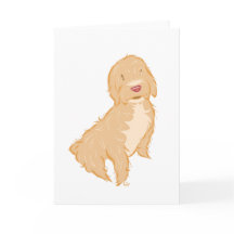 Cockapoo - Greeting card