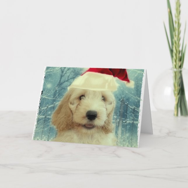 Carte Cockapoo Noël (Devant)