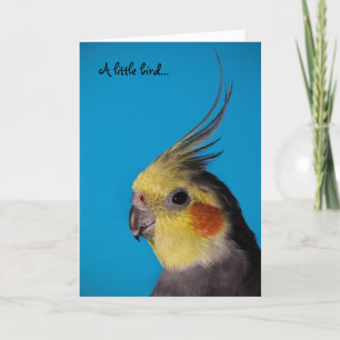 Carte Cockatiel, petit oiseau d'A…