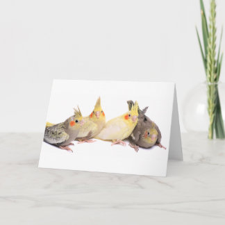 Carte Cockatiles