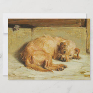 Carte Cocker regardant Spaniel Dog