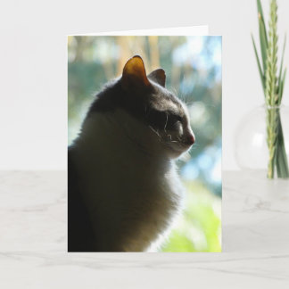 Carte "Coco dans la fenêtre."Carte de voeux