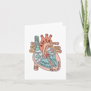 Carte Coeur anatomique, soins infirmiers cardiaques