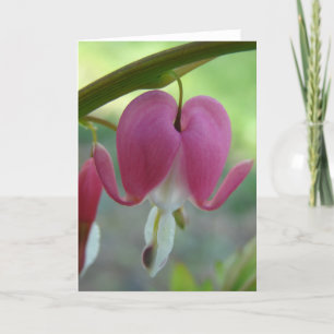 Carte Coeurs saignants