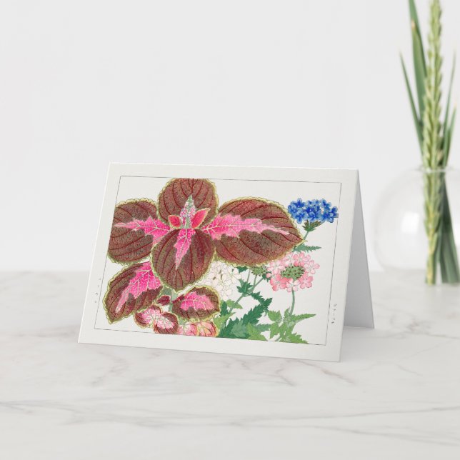 Carte Coleus, Verbena par Tanigami Konan (Devant)