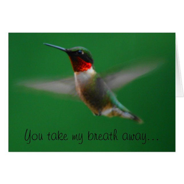 Carte Colibri (Devant horizontal)