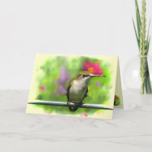 Carte Colibri