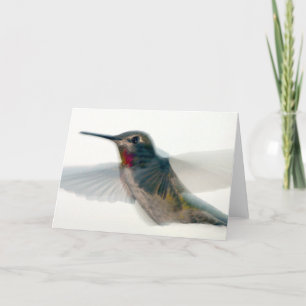 Carte Colibri à gorge rouge