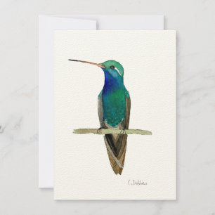 Carte Colibri À Gros Prix Sur Une Branche