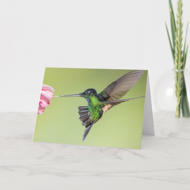 Carte Colibri étonnant dans la poitrine de vol (Devant)