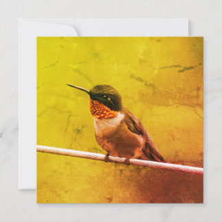 Carte Colibri Merci