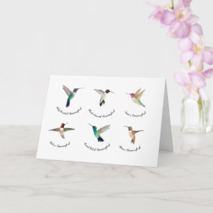 Carte Colibri nord-américain