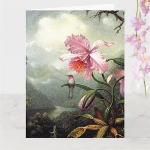 Carte Colibri perché, art fin,