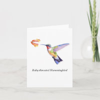 colibri Rubis-throated