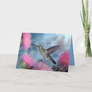Carte Colibri Toute Occasion