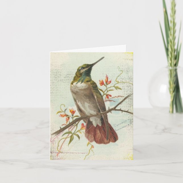 Carte Colibri vintage, Anniversaire (Devant)