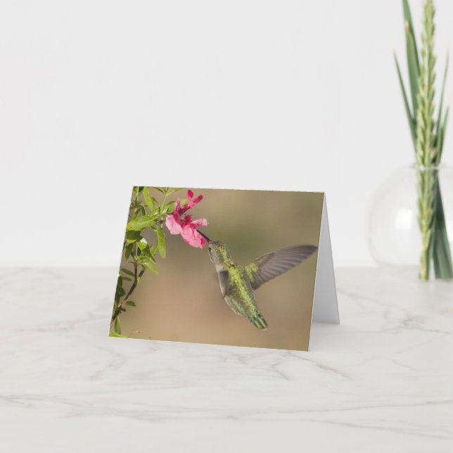 Carte Colibris 021 (Devant)