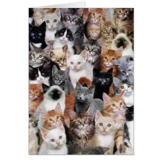 Carte Collage de chat