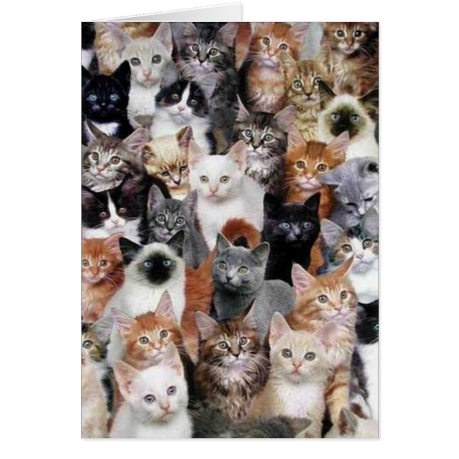 Carte Collage de chat (Devant)