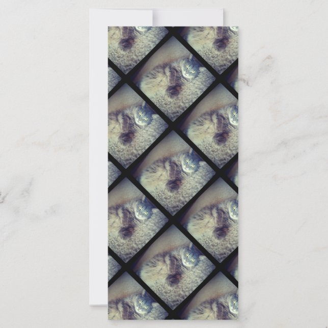 Carte Collage de chats par Shirley Taylor (Devant)