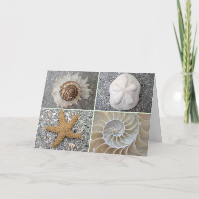 Carte Collage de coquillage (Devant)