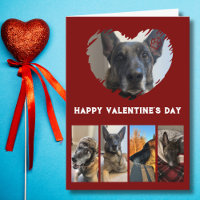 Collage de photos de chien mignon, Saint-Valentin