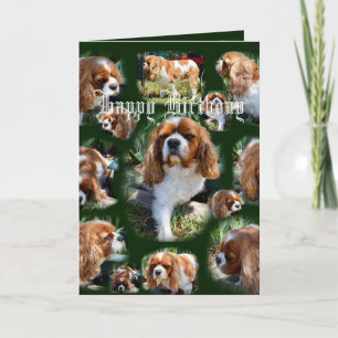 Carte Collage photo de chien Cavalier Joyeux anniversair