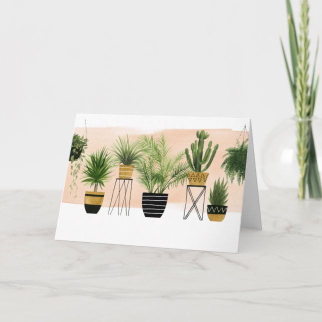 Carte Collection d'intérieur d'oasis (Devant)