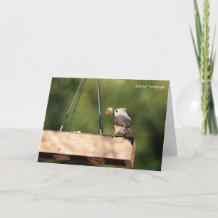 Carte Collection d'oiseaux : Mésange à tête noire (notes
