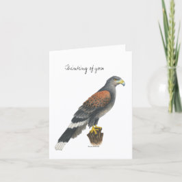 Carte Collection Falcon  Note Card