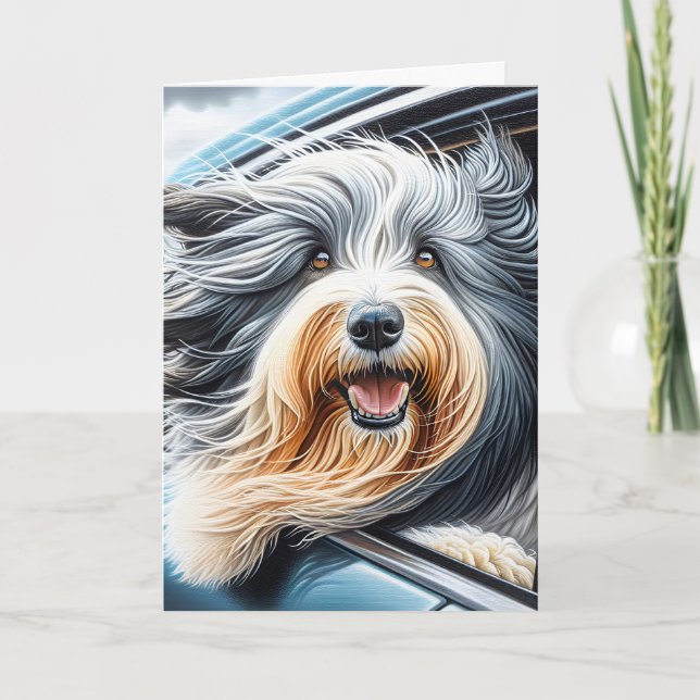 Carte Collie À Porte Dans La Fenêtre De Voiture (Devant)