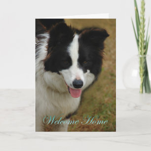 Carte Collie Bienvenue à la maison. Heureux que tu sois 