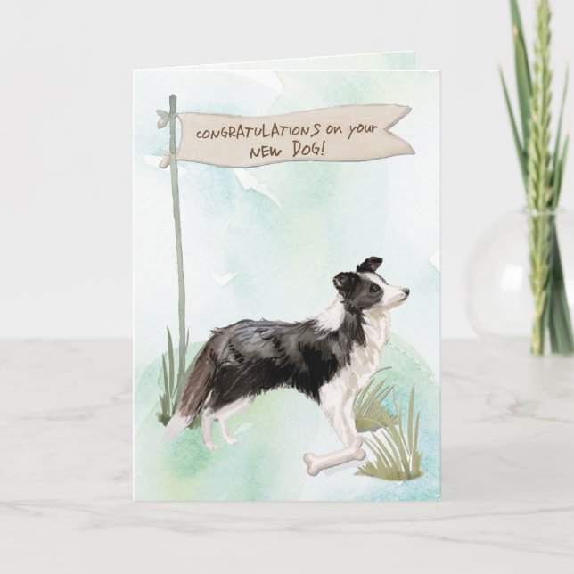 Carte Collie Frontière Félicitations pour le nouveau chi (Devant)