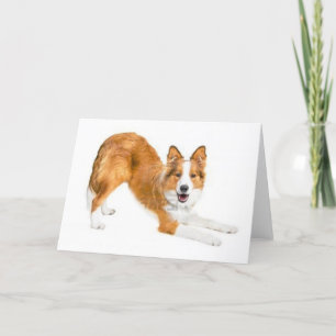 Carte Collie Notecard