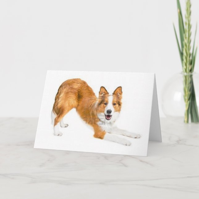 Carte Collie Notecard (Devant)